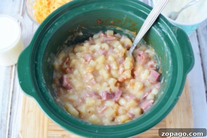 This crockpot loaded baked potato soup is a super easy and delicious recipe, feeding up to 6 for around $10. Includes stovetop and pressure cooker options. A close-up of creamy, loaded baked potato soup in a crockpot, ready to serve.