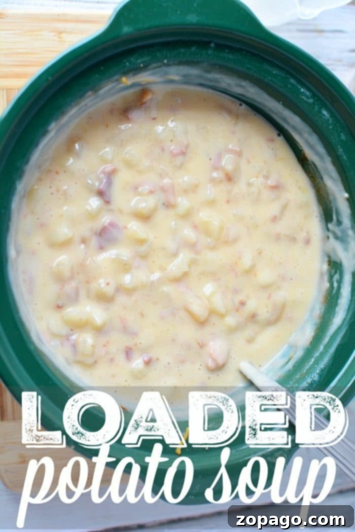 This crockpot loaded baked potato soup is an easy and delicious recipe for a family meal, with stovetop and pressure cooker options available. A bowl of rich, creamy crockpot loaded baked potato soup with bacon and chives, ready to be enjoyed.