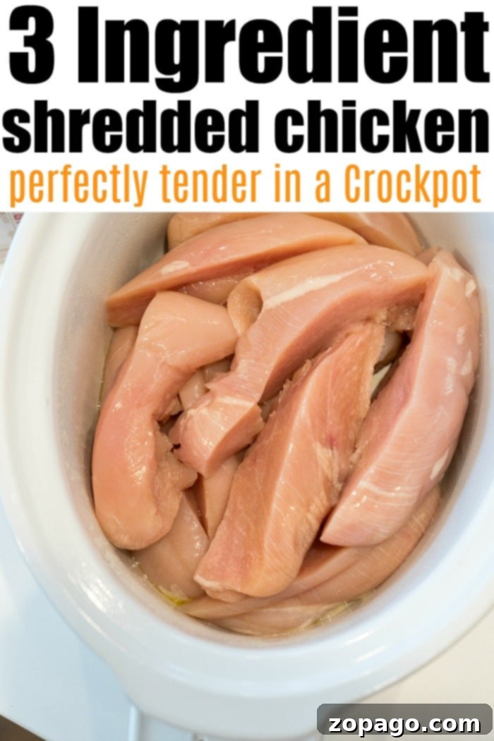Slow Cooker BBQ Chicken 7 Crockpot shredded chicken, cooked to perfection and ready to serve