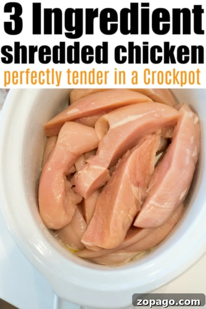 Slow Cooker BBQ Chicken 6 Shredded chicken in a crockpot, perfectly cooked and coated in sauce.
