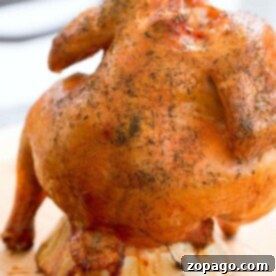 A whole roasted chicken seasoned with herbs sits upright on a stand, reminiscent of a classic beer can chicken cooked on a charcoal grill. Displayed on a wooden cutting board, the bird is golden brown and cooked to perfection, with visible spices adorning its crispy skin.