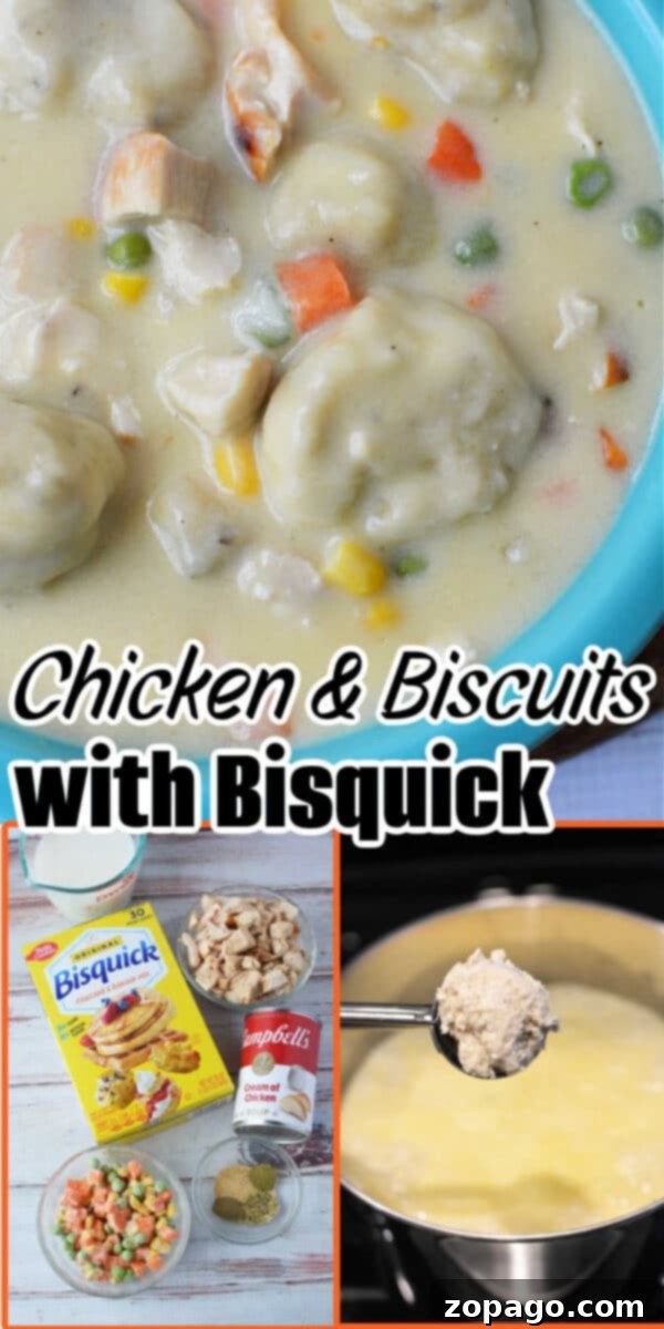 Bisquick chicken and dumplings made easy—creamy stew with tender chicken, fluffy biscuit dough captured perfectly on a spoon, highlighting all the savory ingredients you love.