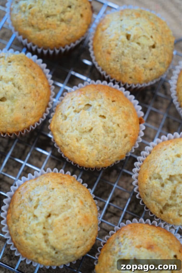 Moist Banana Muffins 2 Freshly baked banana muffins in paper liners cooling on a wire rack—perfect for trying out your favorite banana muffin recipe.