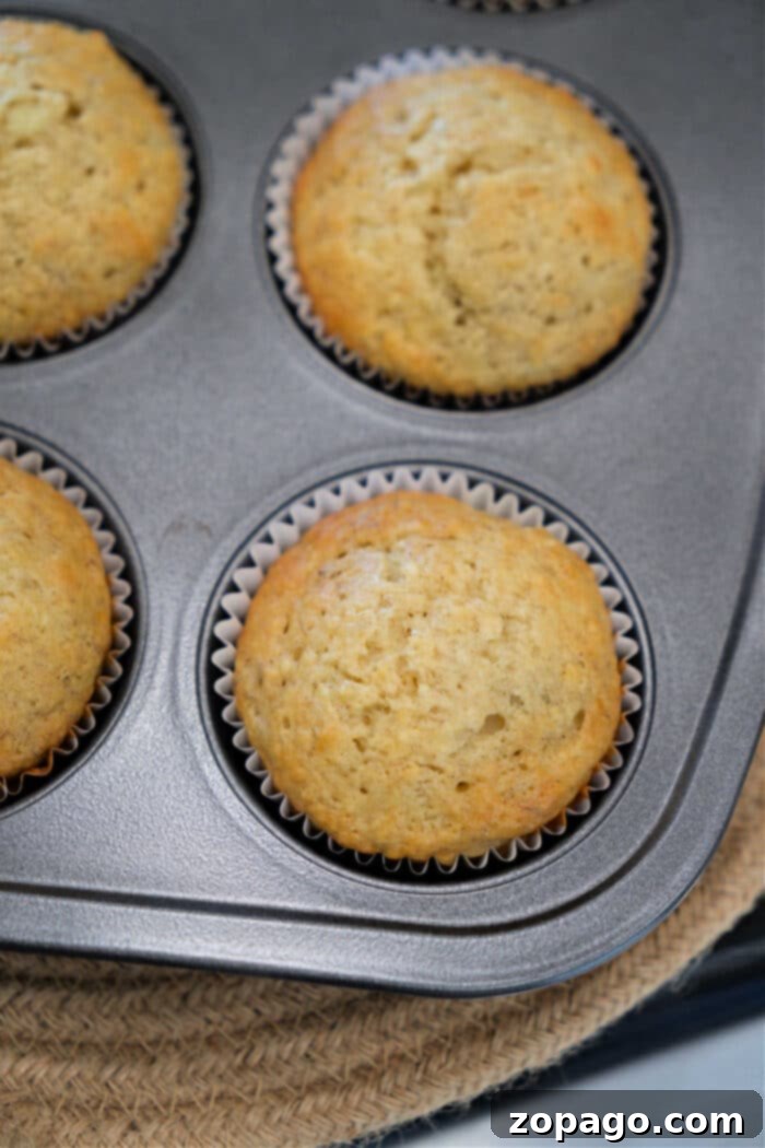 Moist Banana Muffins 4 Freshly baked banana muffins in paper liners sit inside a metal muffin pan, ready to enjoy with your favorite banana muffin recipe.