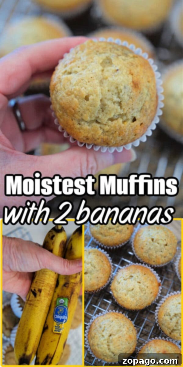 Moist Banana Muffins 7 A hand holds a banana muffin from a 2 Banana Muffin Recipe; below, bananas and more muffins cool on a wire rack.