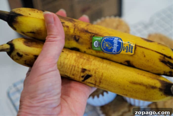 Power-Packed Kodiak Banana Muffins 4 A hand holds two ripe bananas with stickers, in front of a wire rack filled with freshly baked Kodiak Banana Muffins.