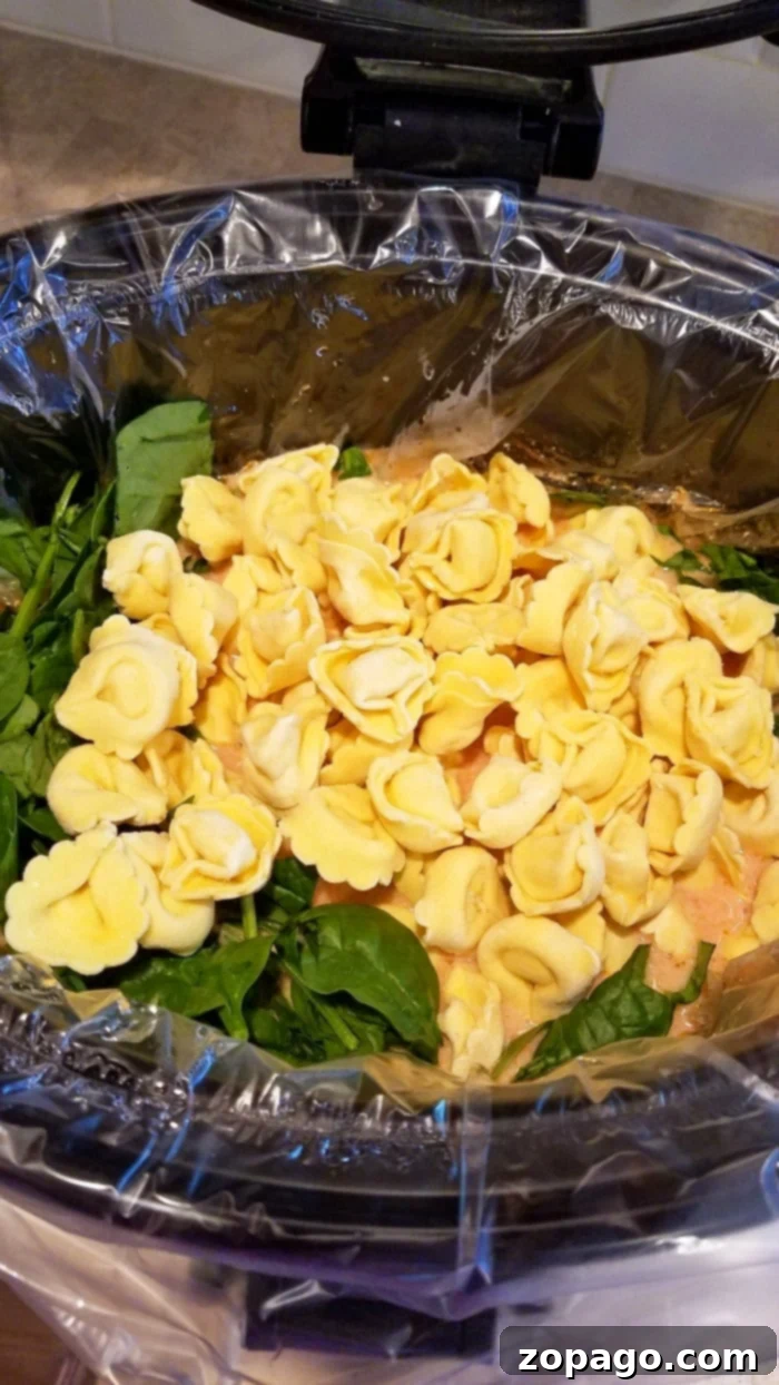 Effortless Slow Cooker Soups 2 A bowl of creamy tortellini soup garnished with fresh herbs, ready to be served from a slow cooker.