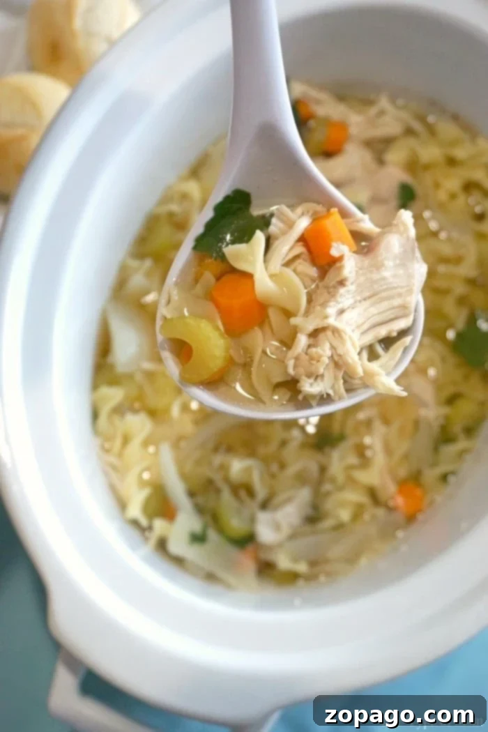 Delicious slow cooker soup recipes you can prepare effortlessly, delivering hearty and comforting meals the whole family will love all year long. A comforting bowl of chicken noodle soup in the Crockpot, showcasing the ease and warmth of slow cooker meals.