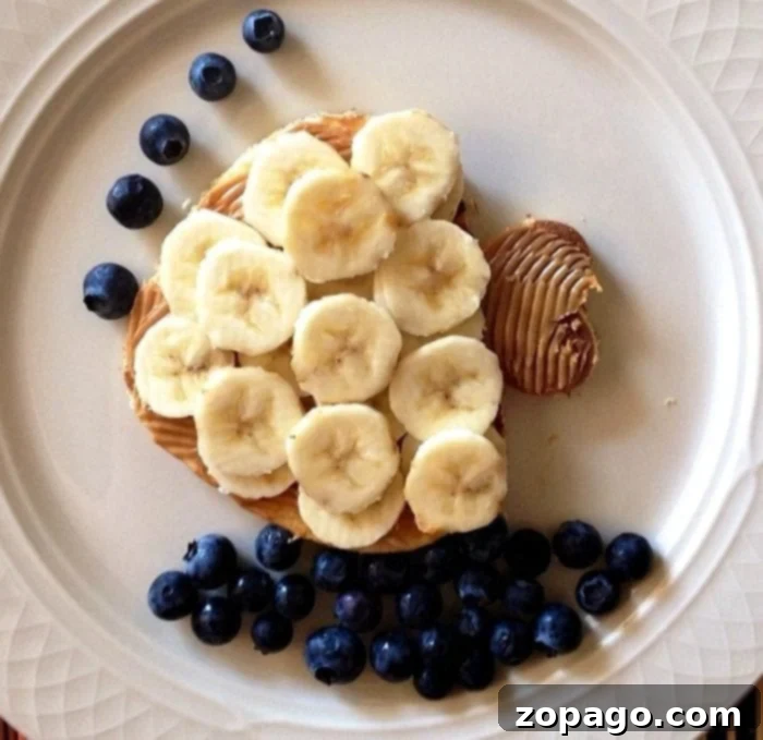 Fun Fish Sandwich An open-faced fish sandwich made with peanut butter, banana slices, and blueberries, a fun snack for kids.