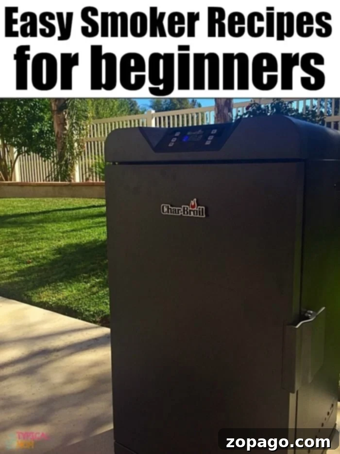 Ultimate Electric Smoker Recipes 2 Easy Electric Smoker Recipes for Beginners