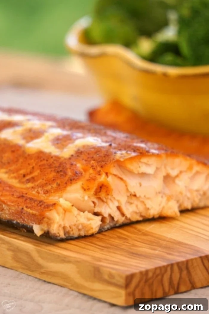 Ultimate Electric Smoker Recipes 6 How to Smoke Salmon in an Electric Smoker