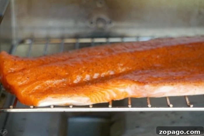 Ultimate Electric Smoker Recipes 8 Perfectly Smoked Salmon Fillet