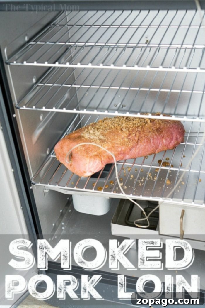 Ultimate Electric Smoker Recipes 10 Smoking a Boneless Pork Loin for a Delicious Meal