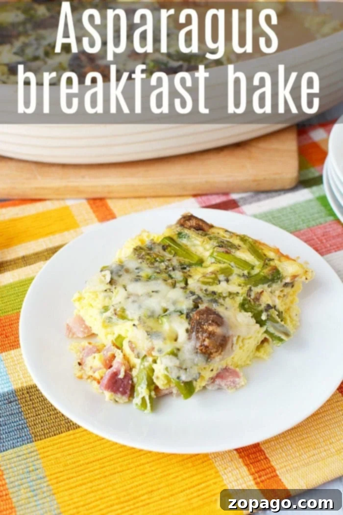 Leftover ham recipes for after the holidays. How to use your leftover ham or turkey after Easter, Thanksgiving or Christmas in soups, casseroles, and many other different ways your entire family will enjoy. #leftovers #ham #casserole #soup #leftoverham #leftoverturkey Plate of a delicious egg asparagus casserole on a colorful tablecloth, perfect for breakfast or brunch.