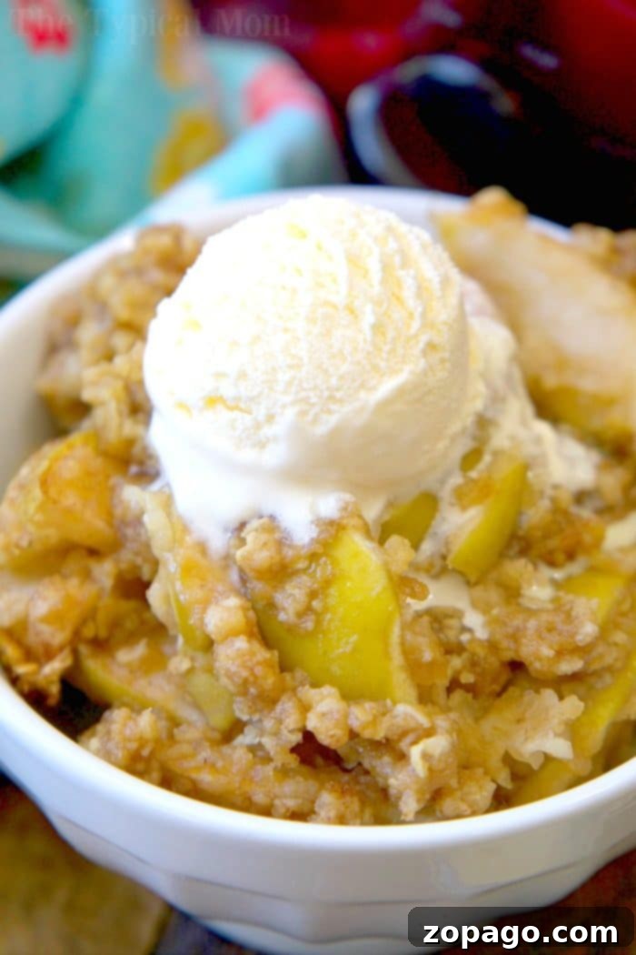 Crockpot Apple Crisp: Warm apple pie filling without the crust, easy to make in your slow cooker. #applecrisp #crockpot #slowcooker #pie #dessert #fruit #breakfast #crockpotrecipes #crockpotapplecrisp #thetypicalmom Delicious crockpot apple crisp, served warm with a scoop of vanilla ice cream, showcasing a golden oat crumble topping.
