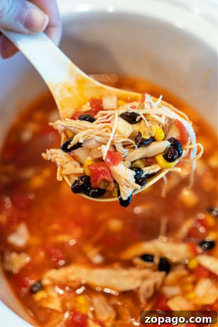 Easy Crockpot recipe for chicken enchilada soup that is super easy to make and tastes amazing, even the kids rave about this one. #crockpot #slowcooker #chicken #enchilada #soup Hearty Slow Cooker Easy Enchilada Soup
