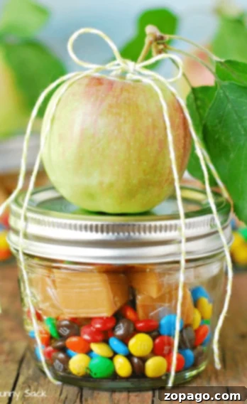 Mason Jar Crafting Unleashed 5 Caramel apples in a jar gift
