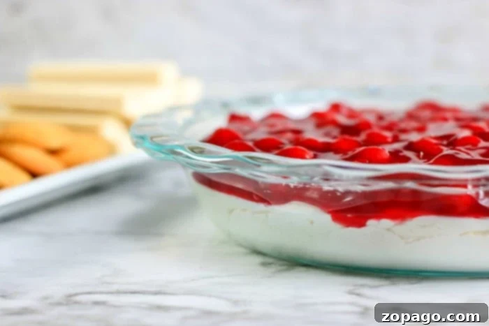 Cherry Cheesecake Delight 5 A cracker being dipped into the cherry cheesecake dip, showing the creamy texture and fruit topping.