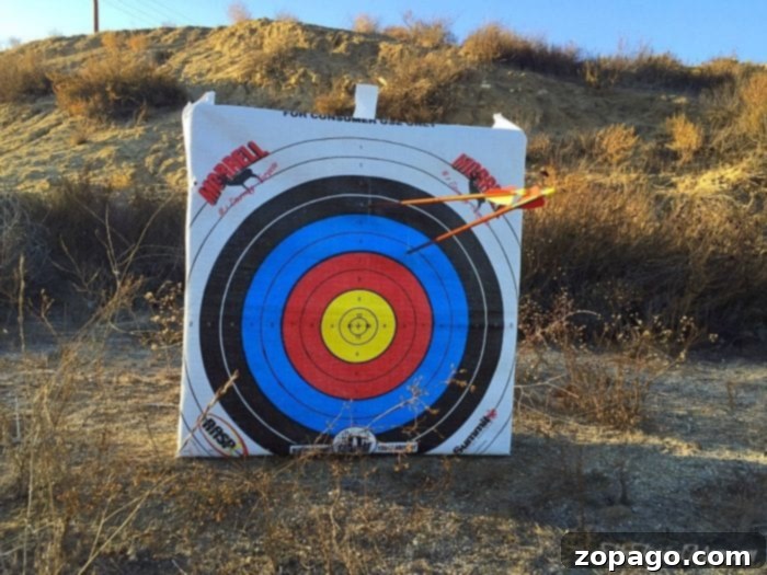 Ready, Aim, Fun: Family Archery 6 Archery set for kids: Fun and educational outdoor activity