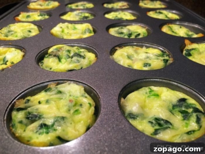 Savory Egg Muffins 3 Mini quiche recipe on a baking tray, fresh out of the oven, waiting to be served.