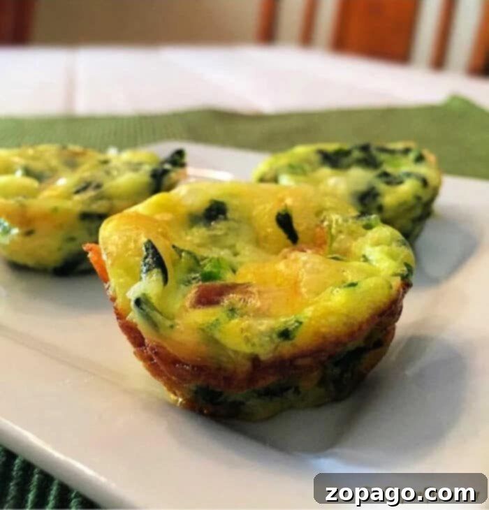 Savory Egg Muffins 5 muffin tin crustless quiche, beautifully baked and ready to be served
