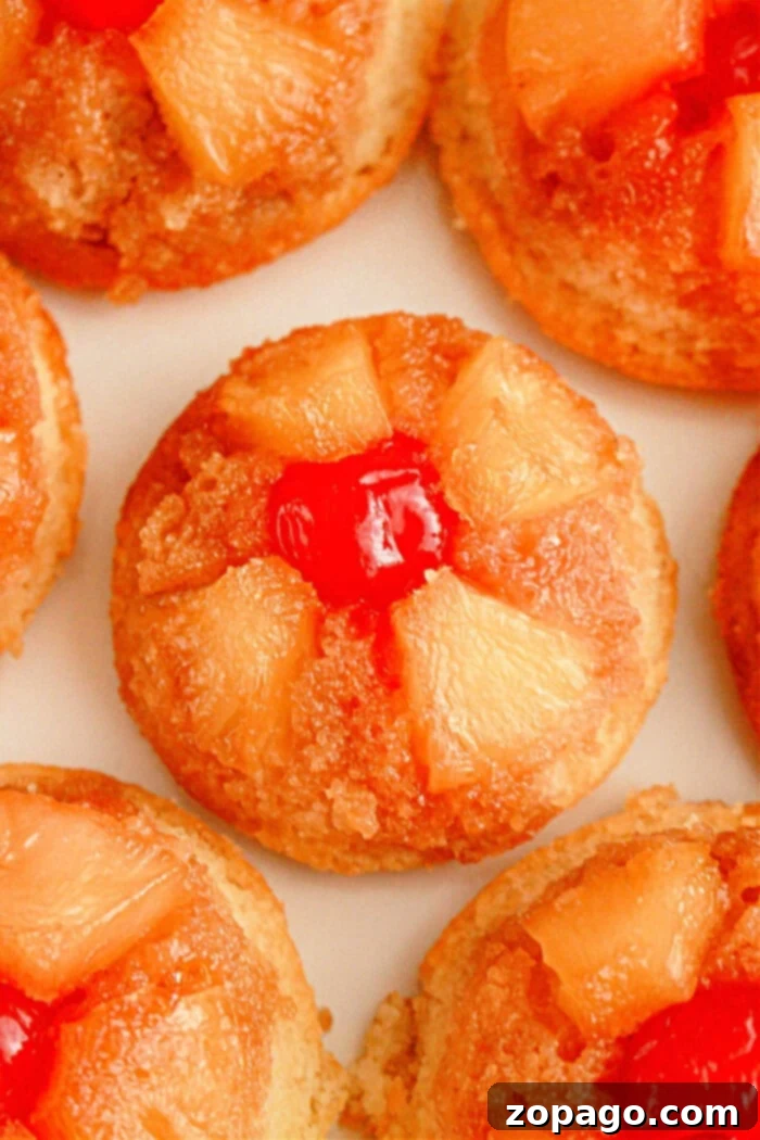 Easy Cake Mix Pineapple Upside Down Cupcakes 2 Close-up of individual pineapple upside-down cupcakes. Each cupcake showcases pineapple chunks arranged in a circular pattern, crowned with a bright red cherry at the center. The cupcakes boast a golden-brown caramelized surface.