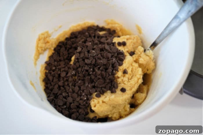Everything Goes Cookies 3 Close-up of freshly prepared chocolate chip cookie dough, ready for baking.