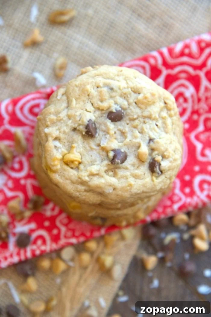 Everything Goes Cookies 6 A close-up shot of a chewy chocolate chip cookie, showcasing its soft texture and melted chocolate chunks.
