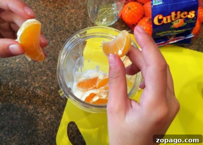 Sunshine Mandarin Orange Smoothie 4 Ingredients for a mandarin orange smoothie laid out on a table