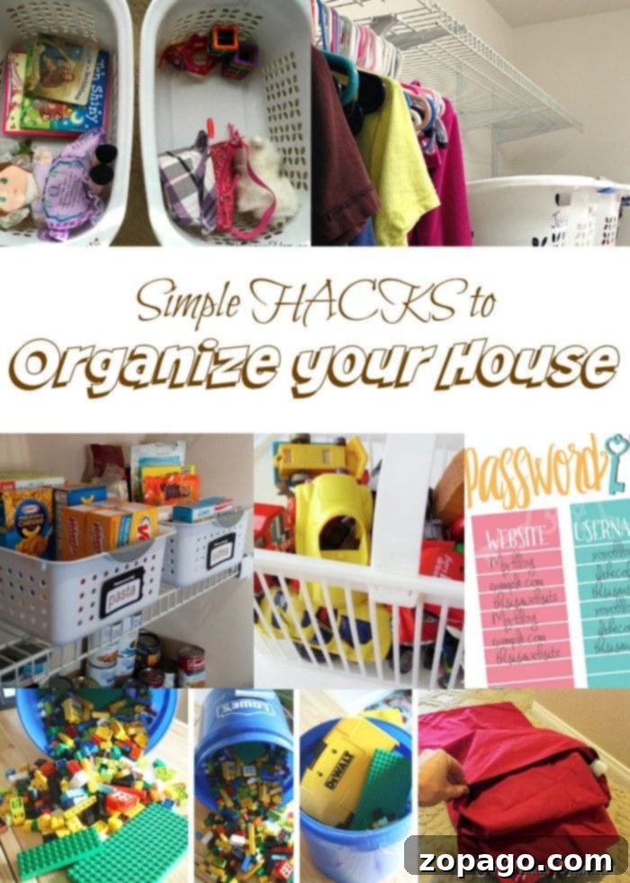 Budget-Friendly Home Organization: Tips for Every Room Using Dollar Store Finds Organize your house on a budget with Dollar Store finds