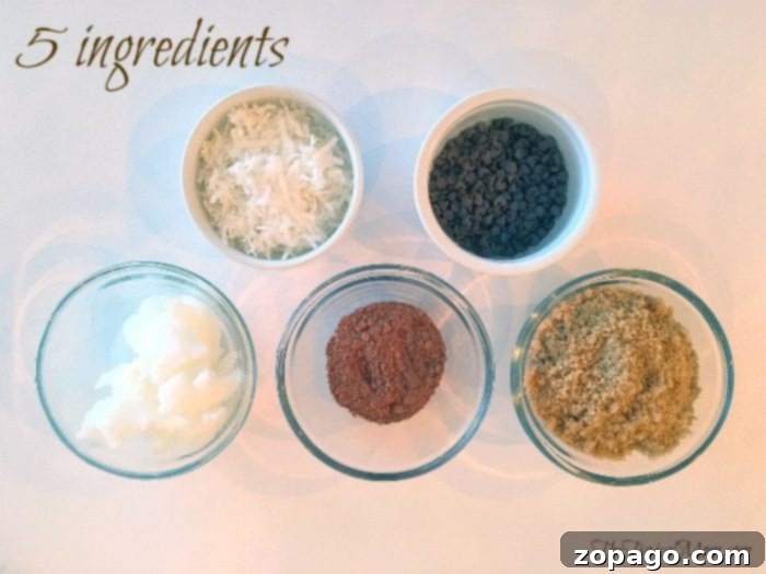Sugar Scrub Secrets for Silky Skin 2 Collection of ingredients for homemade chocolate coconut sugar scrub
