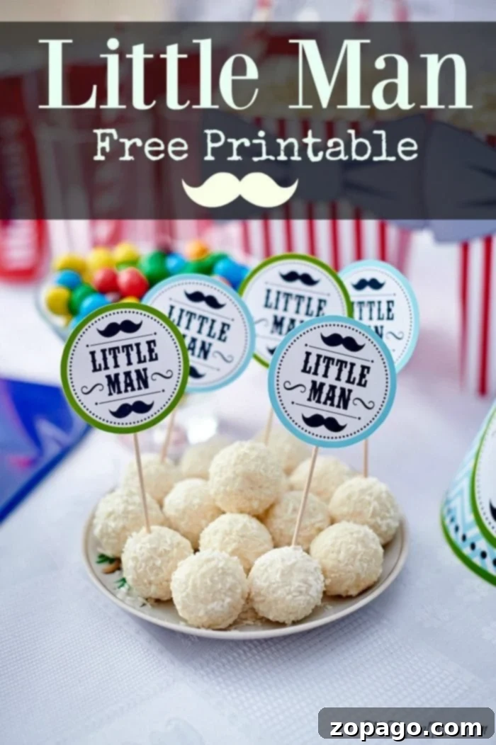Homemade Cake Pops with Customizable Printables for Baby Shower Themes Personalized 'Little Man' and 'Little Lady' cake pops with free printables for baby showers.