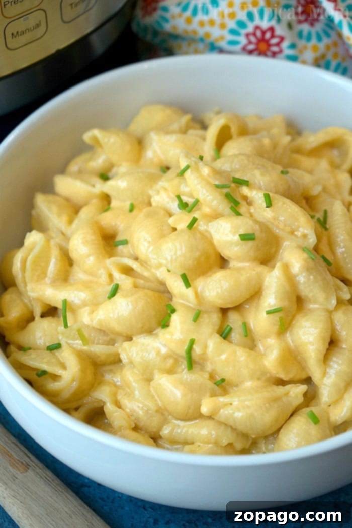 Flavorful Weight Watchers Evening Meals 3 instant pot macaroni and cheese 2