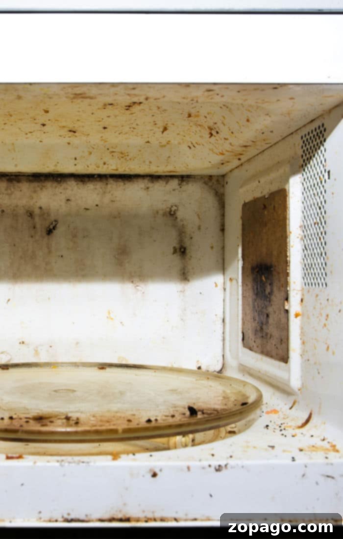 Lemon Fresh Microwave in Minutes 2 How to Clean Your Microwave with Lemon