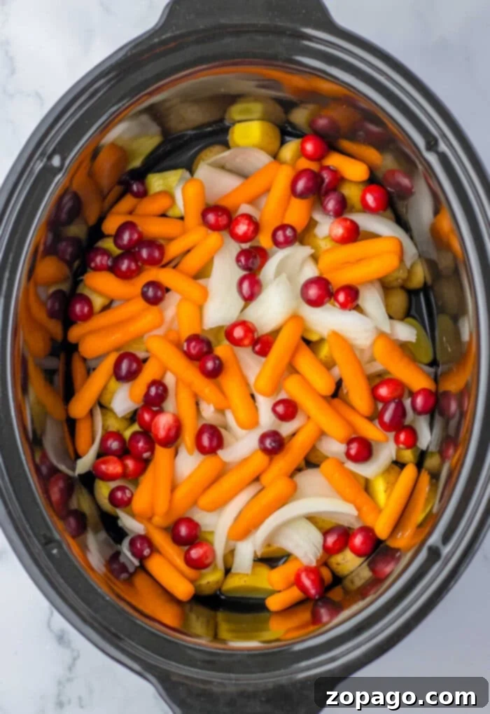 Slow Cooked Whole Chicken 4 A black slow cooker filled with a whole chicken, carrots, cranberries, sliced onions, and potatoes, all arranged in a colorful, layered mixture.