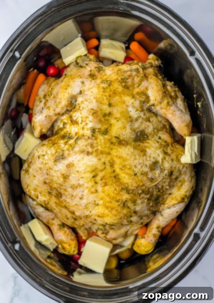 Slow Cooked Whole Chicken 5 Whole seasoned chicken in a crockpot, surrounded by diced carrots and potatoes, with pads of butter scattered on top for added richness.