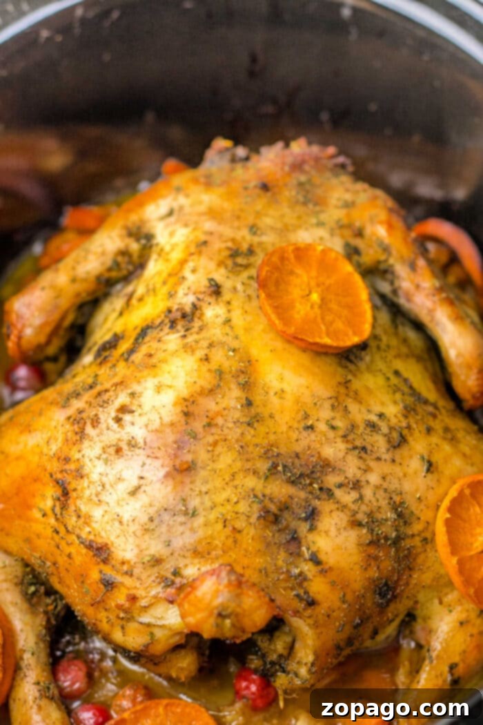 Slow Cooked Whole Chicken 6 Whole roasted chicken in a pot, seasoned with herbs, garnished with orange slices, red berries, and tender potatoes, with crispy golden-brown skin.