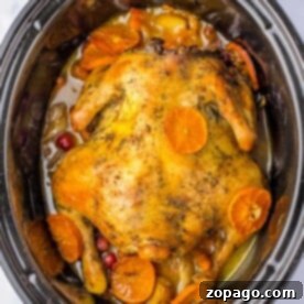 A whole chicken crockpot with potatoes, nestled among sliced carrots, baby potatoes, and juicy oranges. This vibrant dish slow-cooks to perfection in a flavorful broth speckled with tangy cranberries.