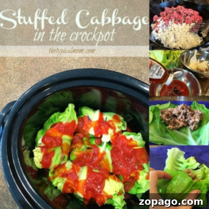 This slow cooker stuffed cabbage recipe is so yummy that even my kids love it! Roll them up, let them cook all day in your crockpot and it tastes amazing. No side dishes needed for this dinner idea. Perfect for St.Patricks Day or any time of the year really. Here's an easy way to make this classic dish. #crockpot #slowcooker #stuffed #cabbage #easy #recipe #stpatricksday #dinner Assembled Slow Cooker Stuffed Cabbage Rolls ready for cooking