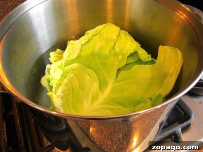 Comforting Slow Cooker Cabbage Rolls 4 Softened cabbage leaf ready for filling