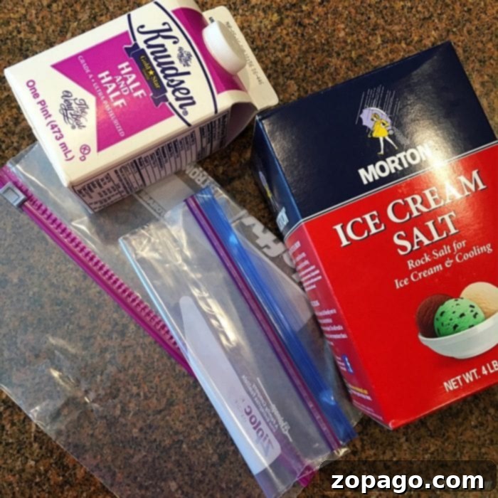 Discover the joy of making delicious no-churn ice cream at home using just two bags – an easy and fun activity for the whole family this summer! A young child joyfully shaking a Ziploc bag to create homemade ice cream, engaging in a fun kitchen activity