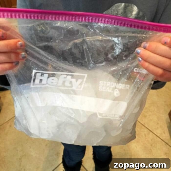 Ingredients laid out for making ice cream at home, including rock salt and ziplock bags.