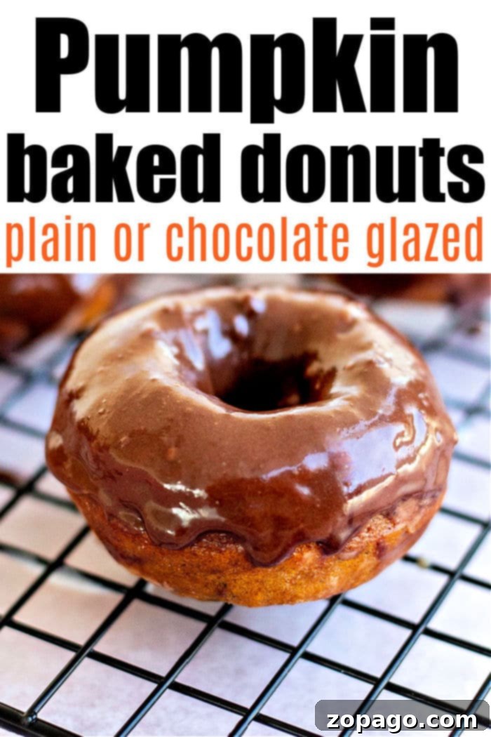 Pumpkin Spice Baked Donuts 7 A vibrant display of pumpkin baked donuts, some plain and some glazed, arranged beautifully for serving.