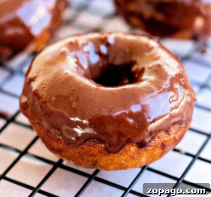 Pumpkin Spice Baked Donuts 9 A perfectly baked pumpkin donut, showcasing its ideal shape and golden-brown crust.