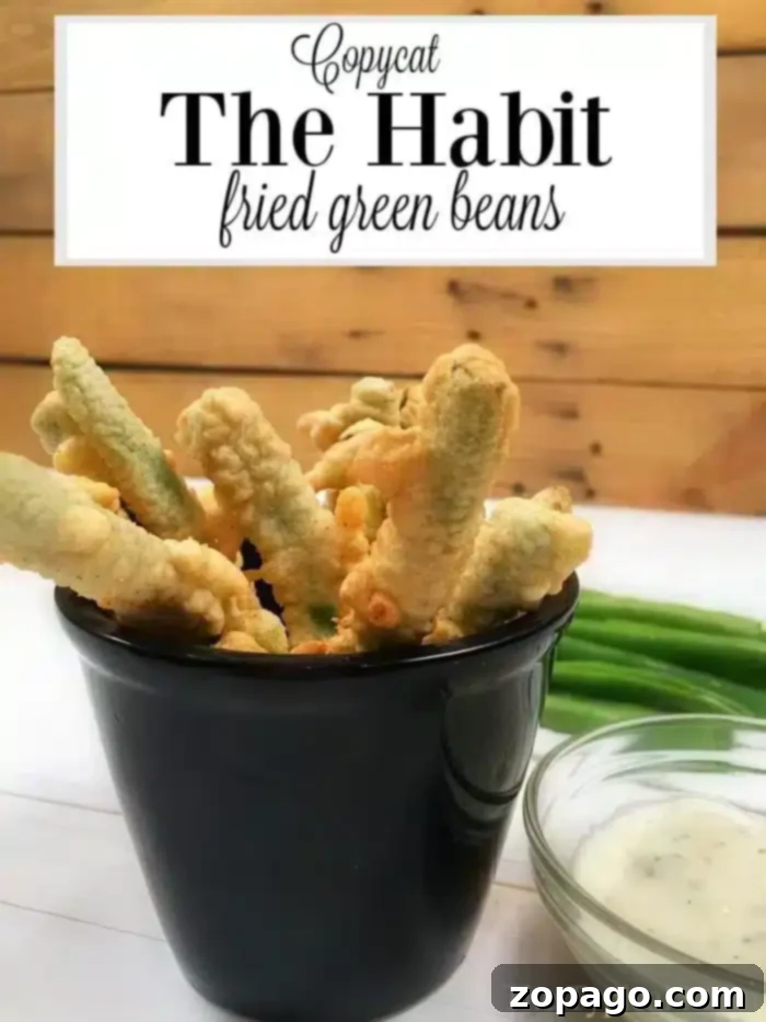 Fried green beans recipe, like a copycat green beans recipe from The Habit! Great vegetable side dish that my kids love and we do too. Serving of Habit copycat fried green beans with a dipping sauce