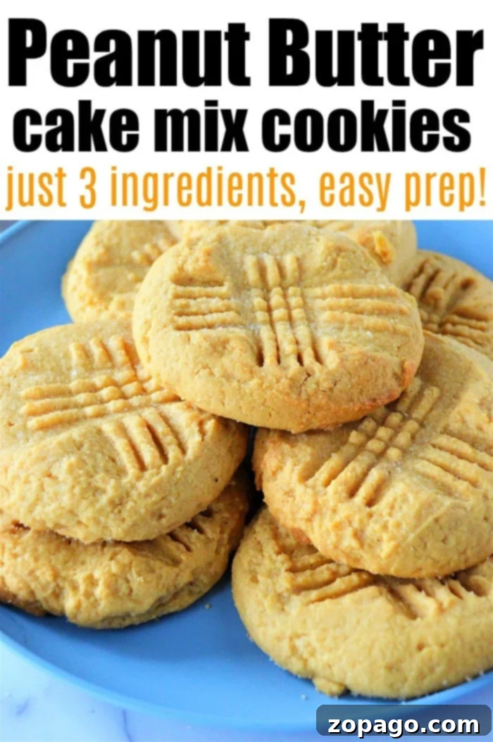 Effortless Cake Mix Cookies 9 A beautifully arranged plate of freshly baked cookies made with cake mix, featuring their inviting texture and golden color.