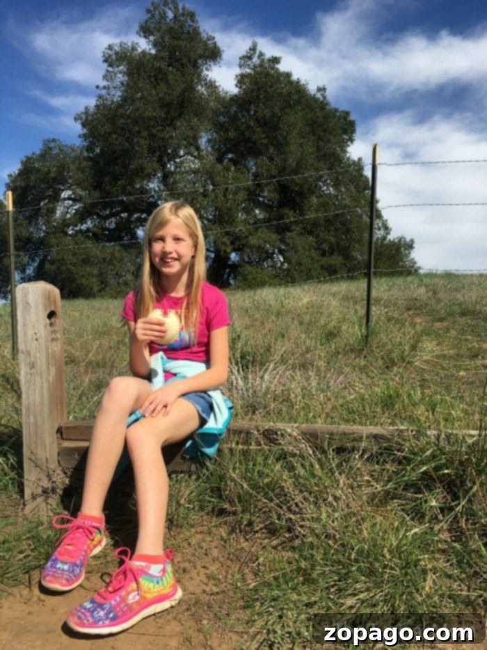 Outdoor budget-friendly activities for children Family hiking on a nature trail with kids