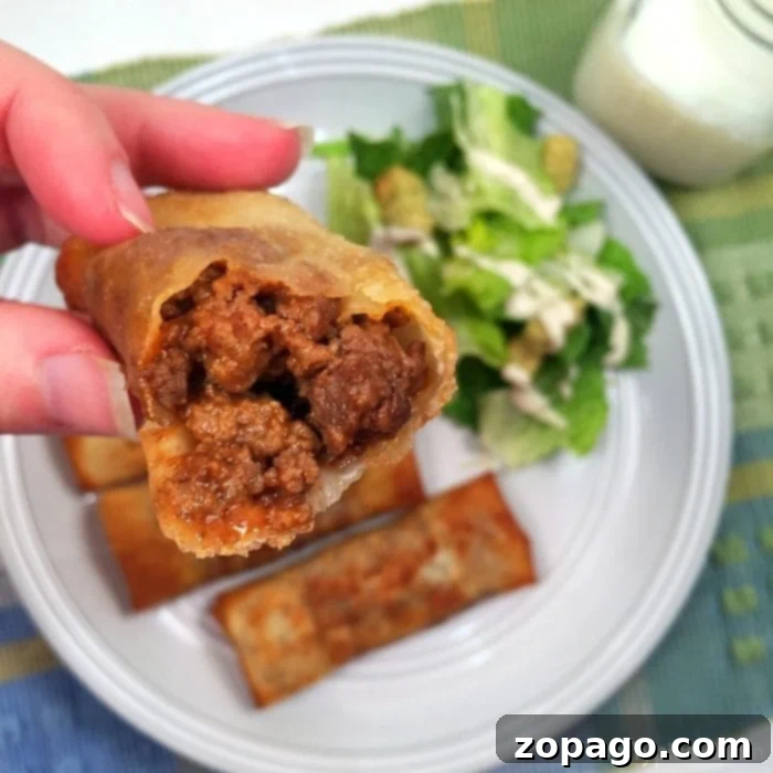 Sloppy Joe Crunch Rolls 8 Plate of homemade Sloppy Joe Egg Rolls ready to serve