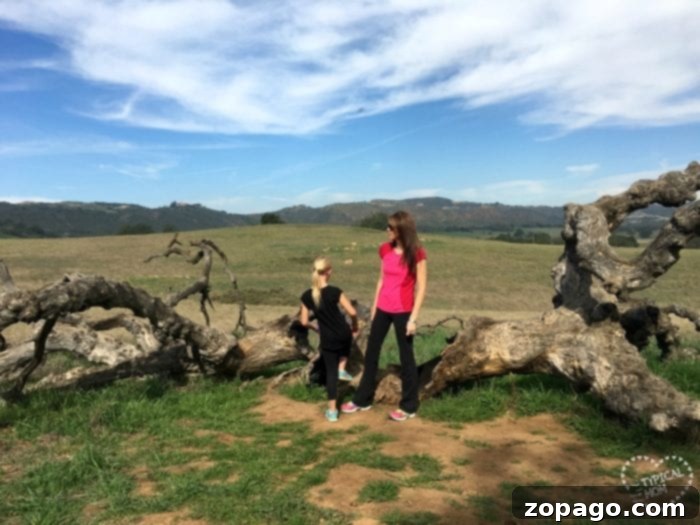 My Body After Kids: The Changes No One Prepared Me For 4 Things to do with your kids.