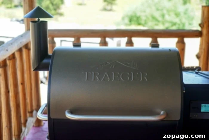 Easy Smoker Picks for Newbies 3 traeger smoker